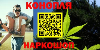 крисы Брянск