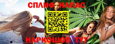 ALPHA PVP Бердск