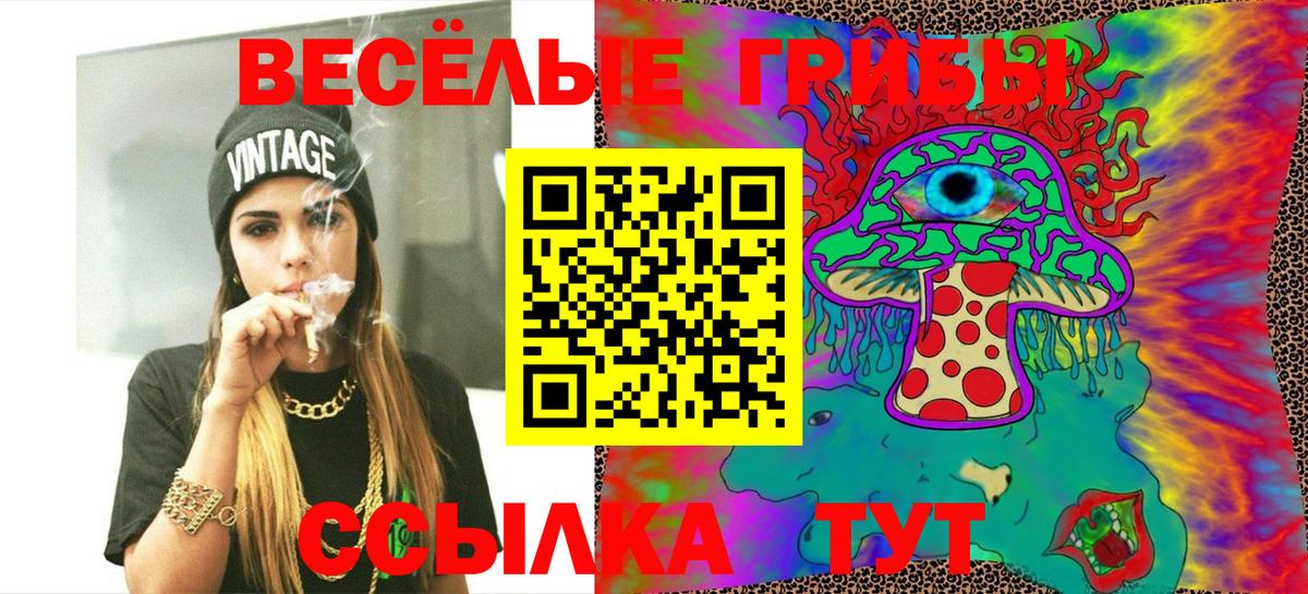 Новодвинск  купить наркотики сайты  Псилоцибиновые грибы Magic Shrooms  Вход с VPN  Галлюциногенные грибы ЛСД 